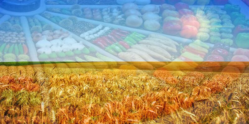 السلطنة بين أعلى الدول العربية ترتيبًا في الأمن الغذائي العالمي 2021