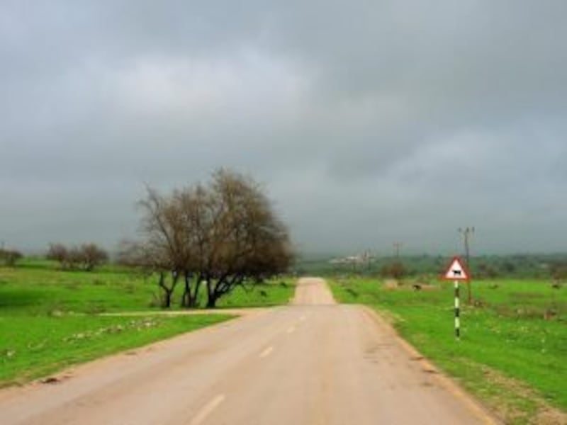 بالصور والخريطة: سهل جوجب.. السهل والمرعى والهدوء