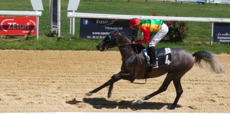 الأول والثاني للخيالة السلطانية في سباق بفرنسا