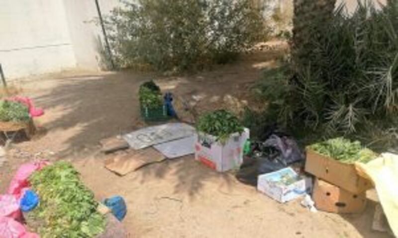 تجاوبًا مع الأهالي: ضبط باعة متجولين في الجفنين