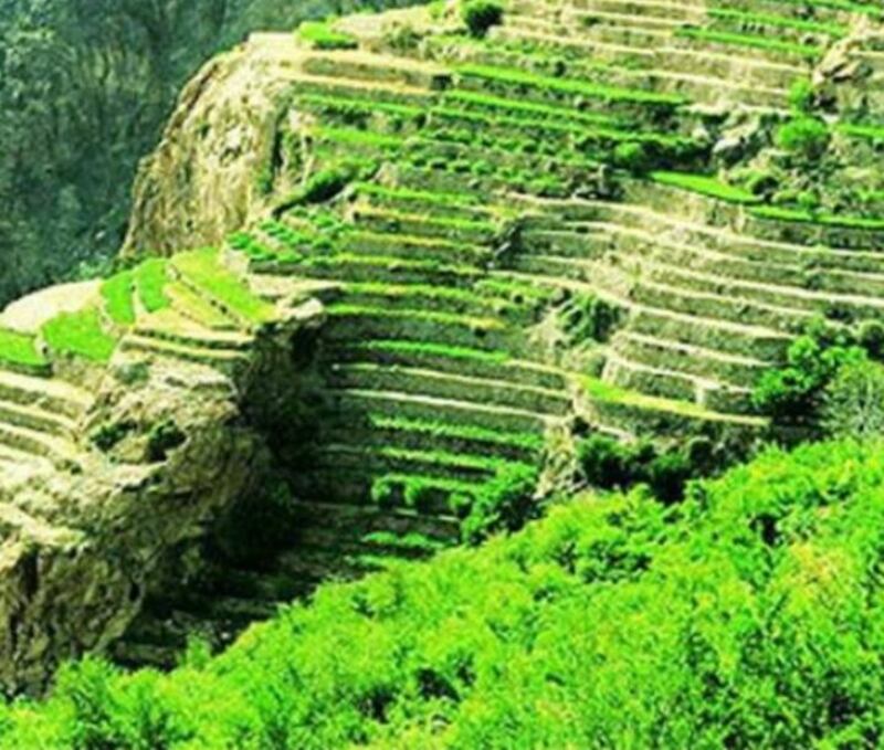 دراسة عمانية تقترح إنشاء أقسام للنزاعات البيئية في المحاكم