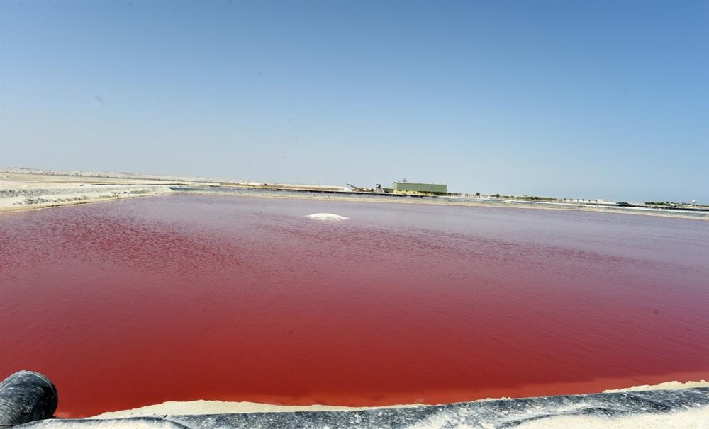 أول مشروع من نوعه في السلطنة  حول الملح