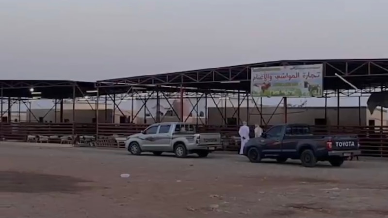 بلدية جنوب الشرقية تنفي إساءة أحد موظفيها لمواطن