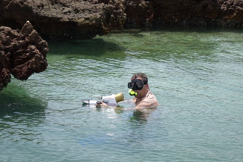 الصقر الأدهم…فيلم وثائقي عن الطائر المهاجر في السينما المحلية الأربعاء