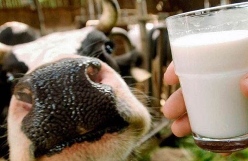 الزراعة تصدر بيان حول مرض الحمى المالطية