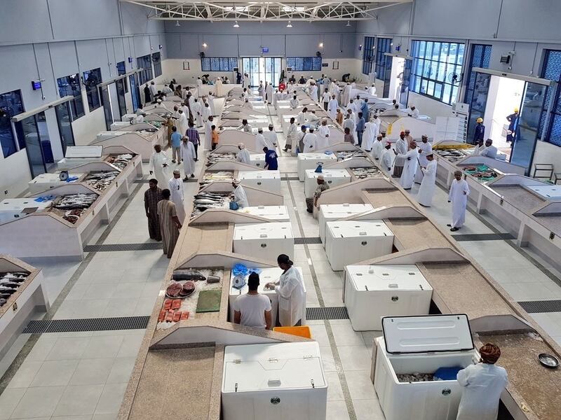 أكثر من 186 مليون ريال قيمة الأسماك المنزلة بالصيد الحرفي