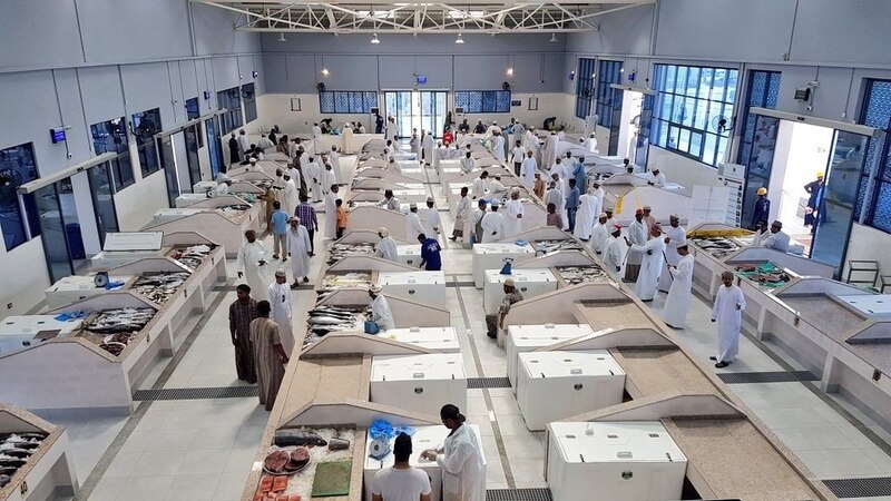 أكثر من 186 مليون ريال قيمة الأسماك المنزلة بالصيد الحرفي