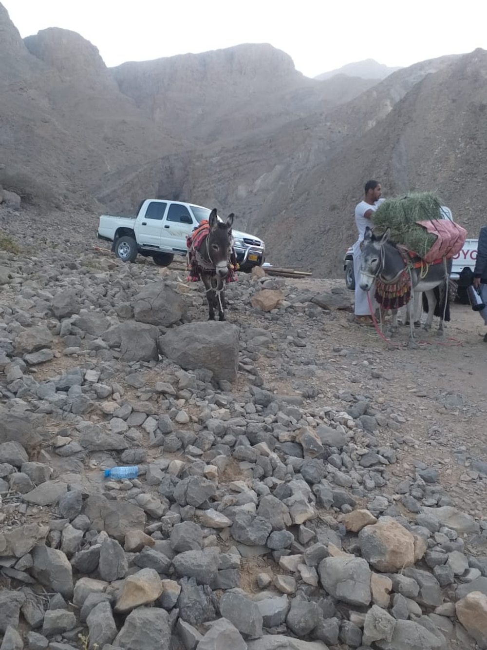 معاناة منذ الثمانينيات: أهالي قرية بضعة يُناشدون الجهات المختصة