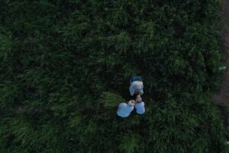 التأمينات الاجتماعية” تحتفل بـ 28 عامًا على إنشائها