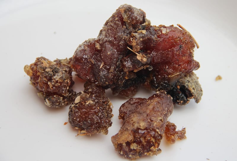 الأغلب أنك سمعت عن شجرة المقل، لكن هل قرأت عن فوائدها الكثيرة؟