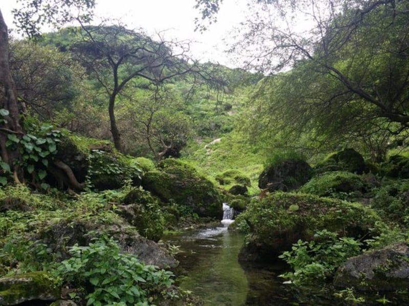 تعرّف على عين “أضبيض”.. العين الخفية في قلب ظفار