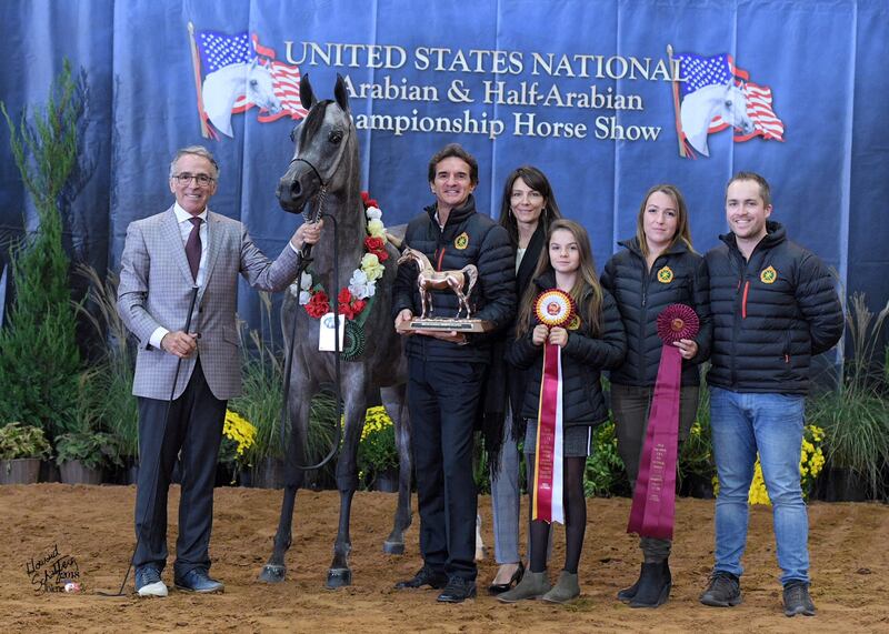 مهرة للخيالة السلطانية تضيف إنجازًا جديدًا