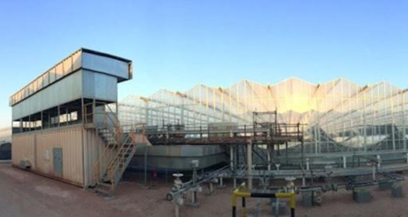 “أمل” تحقق أعلى معدل إنتاج للنفط في 44 عامًا