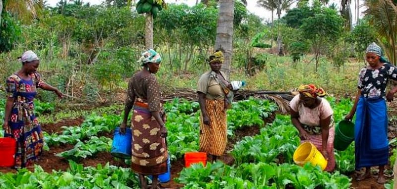 معلومات قد لا تعرفها من قبل عن تنزانيا