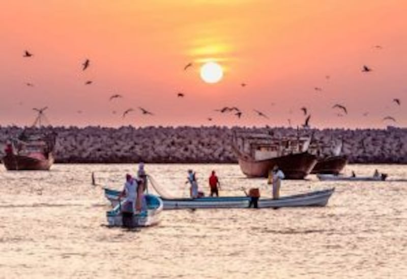 بأجوائها الباردة: الأشخرة مكان سياحي شهير في السلطنة