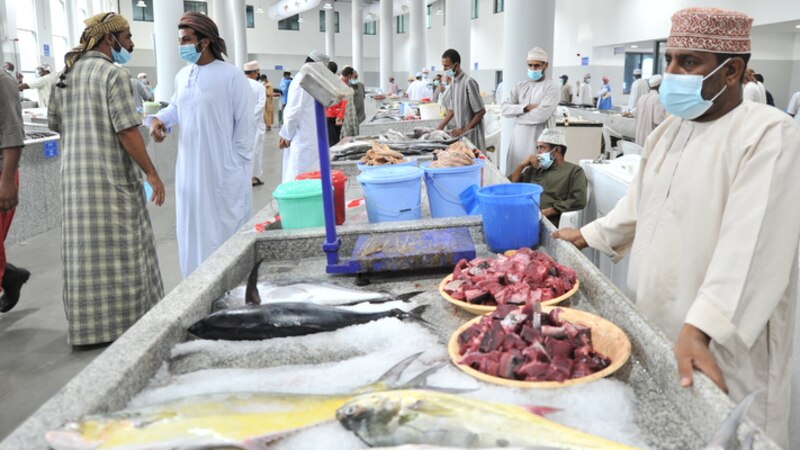 أكثر من 294 مليون ريال لإنتاج الأسماك