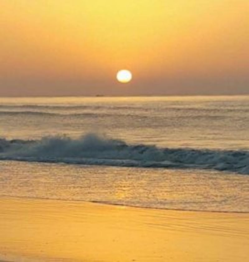 بأجوائها الباردة: الأشخرة مكان سياحي شهير في السلطنة