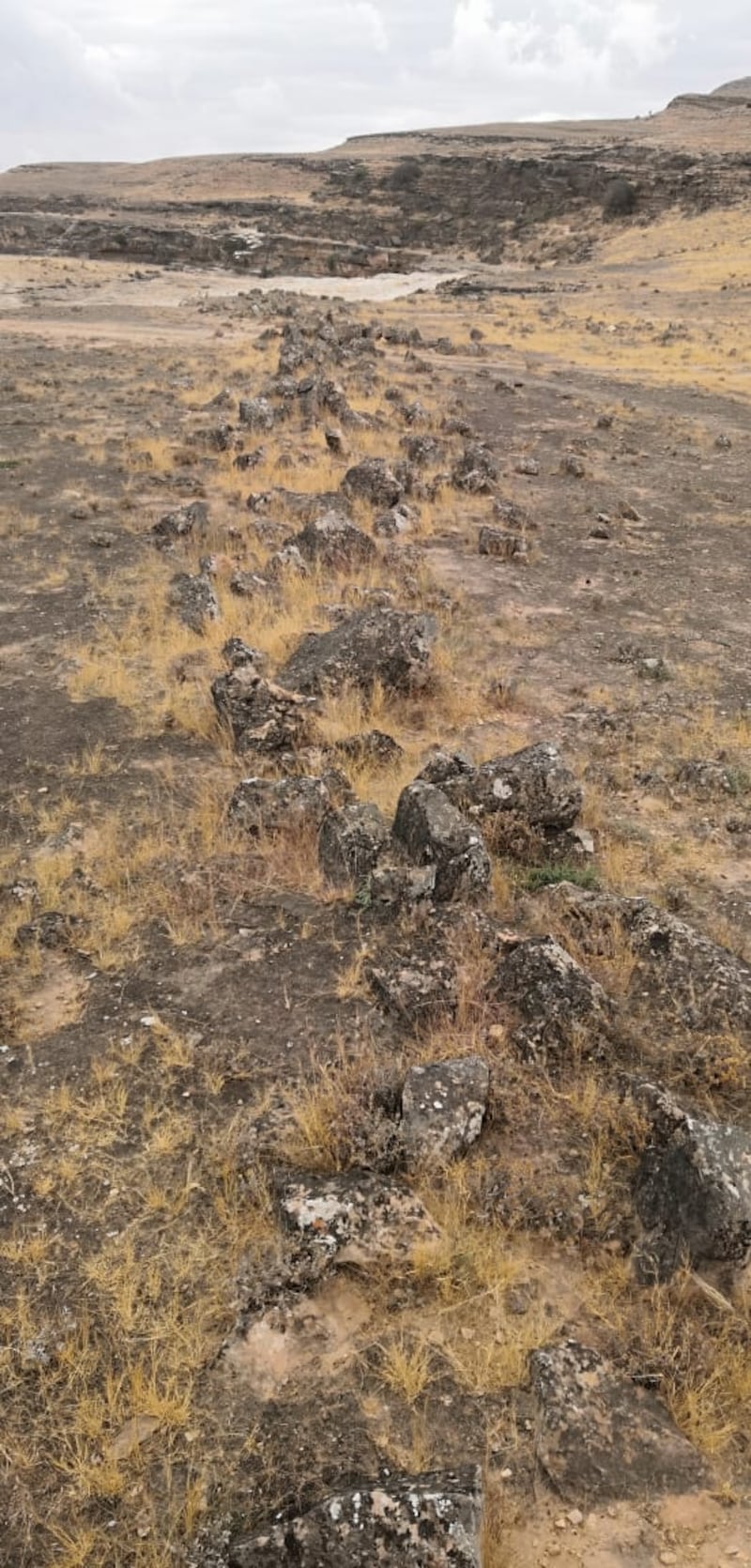 “حيوان سيلول” نموذجًا: آثار قديمة في ظفار نُسِجت حولها أساطير