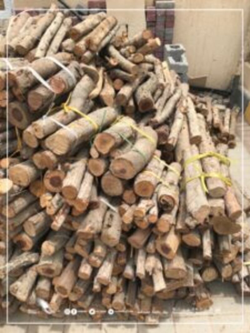 وافدون “يسخّمون” أكوامًا كبيرة من حطب السمر والغاف الخضراء