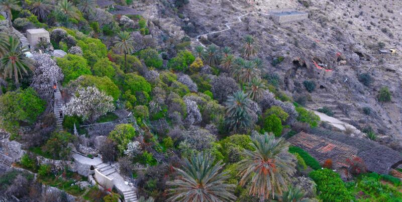 خلال 4 أشهر: 19 ألف زائر لقرية وكان