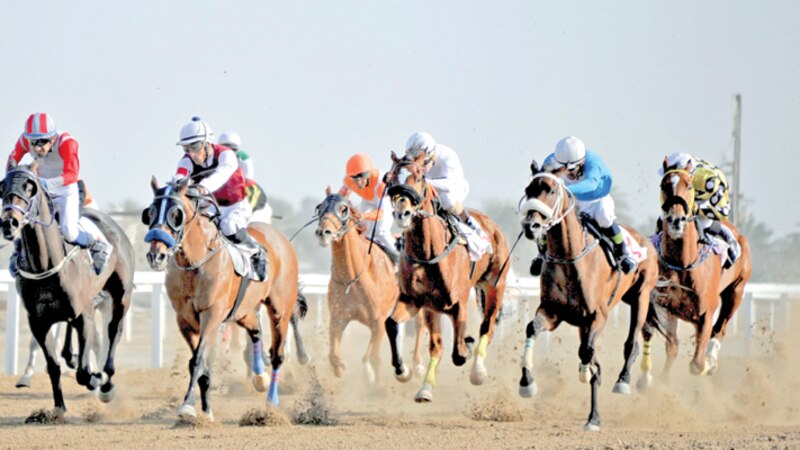 بتوجيهات سامية: انطلاق سباقات الخيل بالرحبة غدا