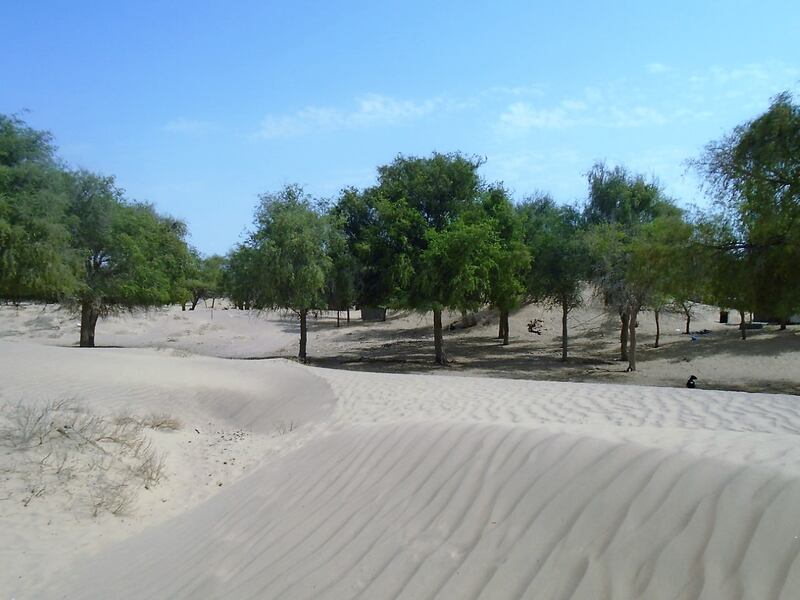 “حاصد” وادٍ يجذب السياح في الشرقية، فماذا تعرف عنه؟