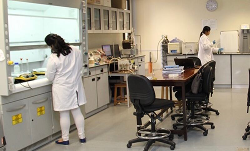 نحو 8000 وافد يُغادرون العمل الحكومي في السلطنة