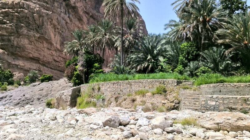 حجر زراعي على إحدى الولايات وعقوبة على المخالفين