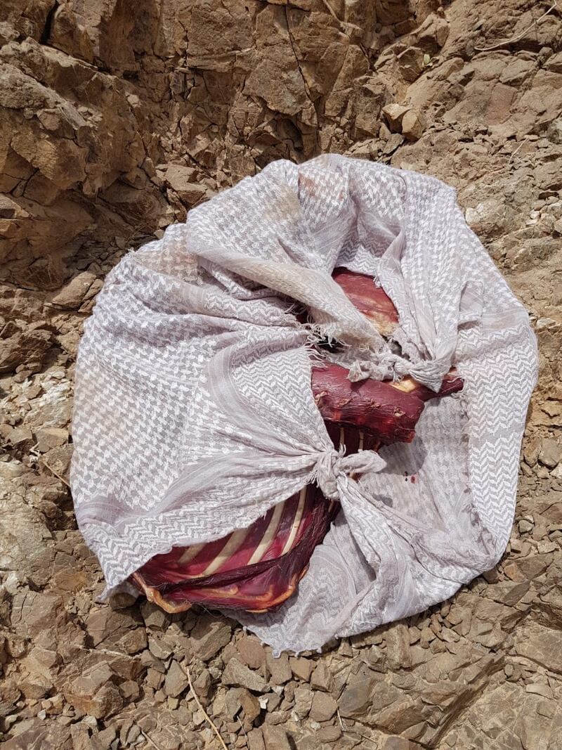 بالصور: أشخاص ينتهكون الحياة الفطرية في الشرقية والبيئة والشرطة تضبطهم