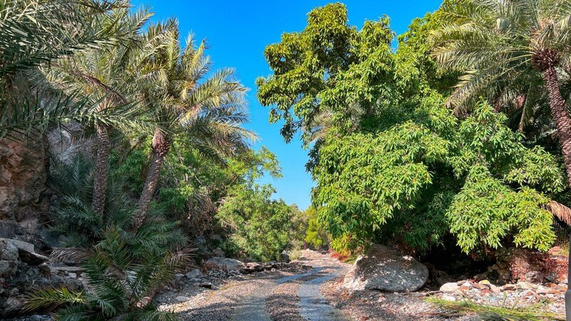 ولاية مدحاء.. حضور استثنائي في الجغرافيا العمانية