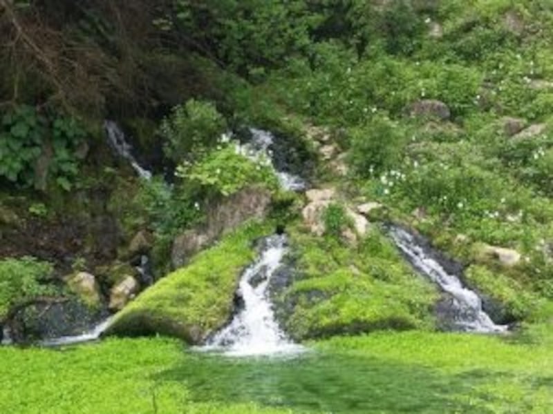 تعرّف على عين “أضبيض”.. العين الخفية في قلب ظفار