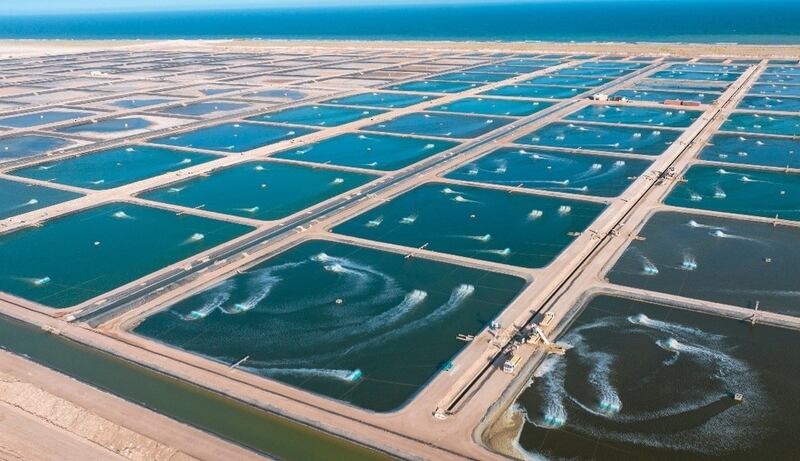 “تنمية أسماك عُمان” تشارك في المنتدى العالمي لمصائد الأسماك