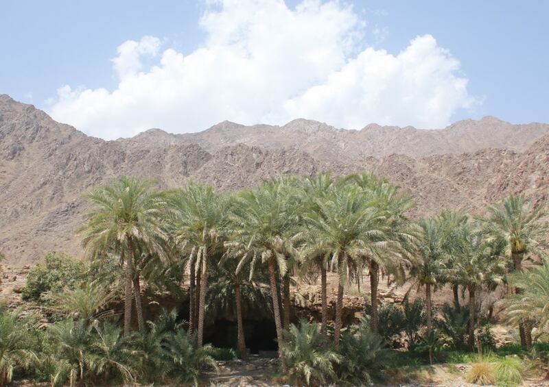 “العوينة” عين ماء عذبة دائمة الجريان