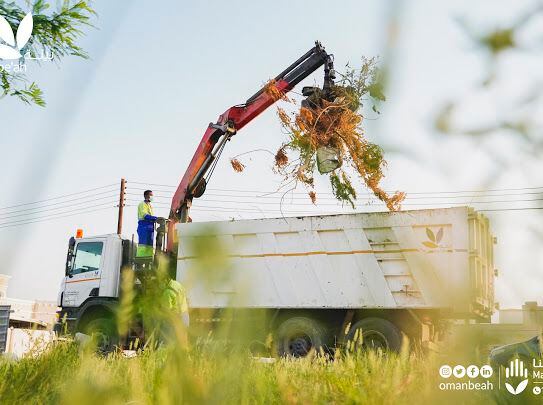 خلال إجازة العيد: بيئة تستقبل أكثر من 29 ألف طن من نفايات الذبح